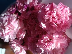 -盒马鲜生(乐成店)