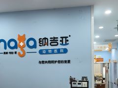 -纳吉亚猫专科动物诊疗中心(蒋宅口分院)