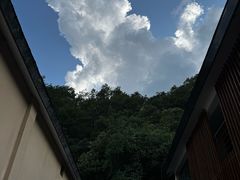 -牛背梁国家森林公园