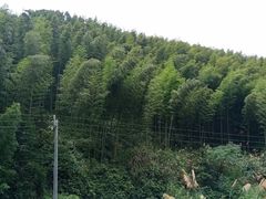 -井冈山风景名胜区