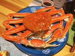 -蟹福家活蟹料理·豪华自助(绿洲假日酒店)