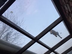 -VOYAGE COFFEE(北锣鼓巷店)