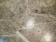 -瑞派宠物医院·24h·骨外科·皮肤科·全科宠物医疗转诊中心(沈阳浑南院)
