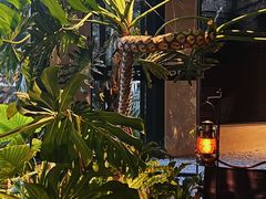 -J Create城市露营咖啡·简餐·宠物(上海动物园店)