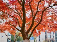 -苏州卫生职业技术学院(石湖校区)