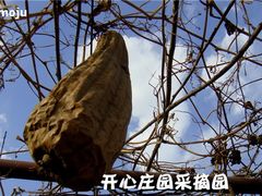 蓝蓝的天-开心庄园