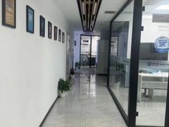 -新航道·雅思托福·Alevel AP·留学考研(光谷校区)