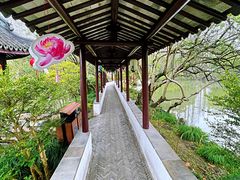 -上海醉白池公园