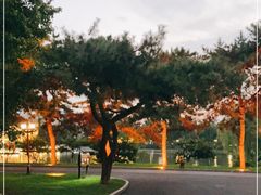 -钓鱼台国宾馆