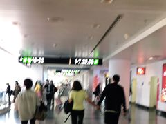 -厦门高崎国际机场-T3航站楼