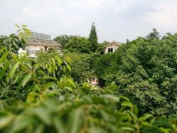 -莲生母婴月子中心(清水河公园店)