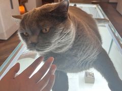 -Me Coffee下午茶艺术空间