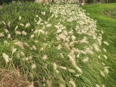 -汉长安城未央宫国家考古遗址公园