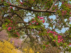 -元大都城垣遗址公园