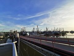 -Steveston Pizza Company (Richmond)