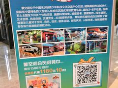 -中国宋庆龄青少年科技文化交流中心