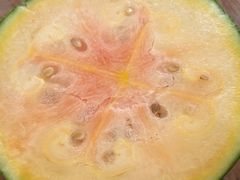 -庞各庄翠芳园西瓜蔬菜基地采摘园