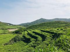 -嵛山岛