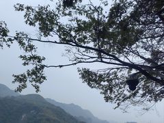 -矮寨·十八洞·德夯大峡谷景区
