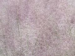 -苏州河梦清园环保主题公园