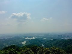 -大屏嶂森林公园