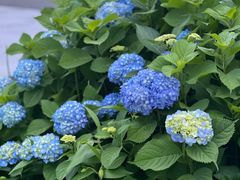 -横滨红砖仓库1号馆