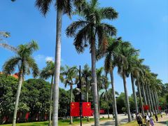 -厦门大学(思明校区)