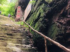 -天女山森林公园