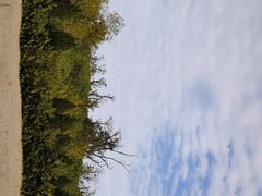 -汉长安城未央宫国家考古遗址公园