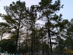 -美兰湖景区