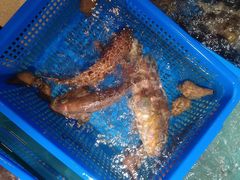 -御同亨酒楼·喜宴