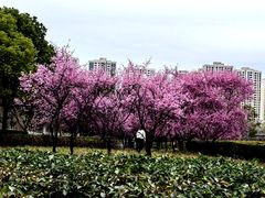 -白塘生态植物园
