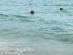 -玫瑰海岸文化旅游度假区