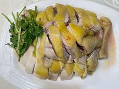 -陈记粤湛鸡饭店