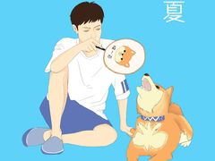 -柴迷FANS CLUB·柴犬狗咖·猫咖