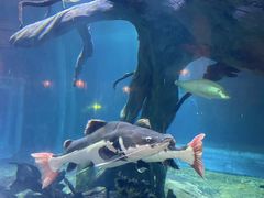 -华夏文旅海洋公园