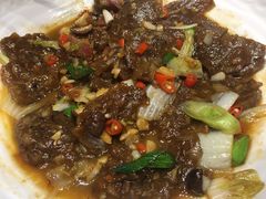 -红果树(江光店)