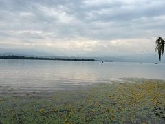 -西昌邛海宾馆