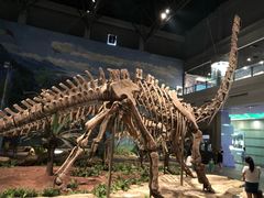 -自贡恐龙博物馆