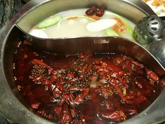 -重庆大队长火锅(凤城八路店)