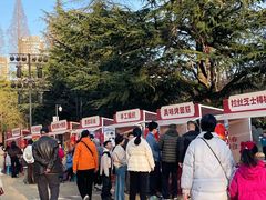 -西苑公园