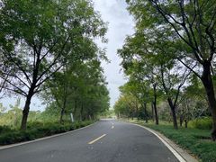 -同里国家湿地公园