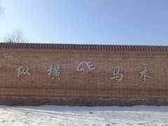 -北京群众马术培训基地