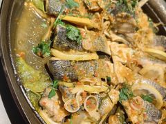 啫啫海鲈鱼-SHAN山(前滩太古里店)