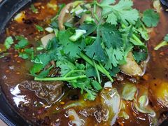 特色肥肠面-耙豌豆重庆小面
