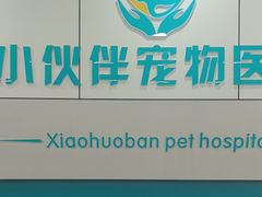-小伙伴宠物医院·CT·骨科·眼科(高新店)