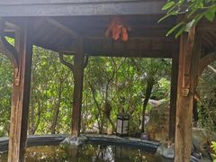 -水底山庄园温泉