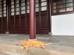 -西园戒幢律寺