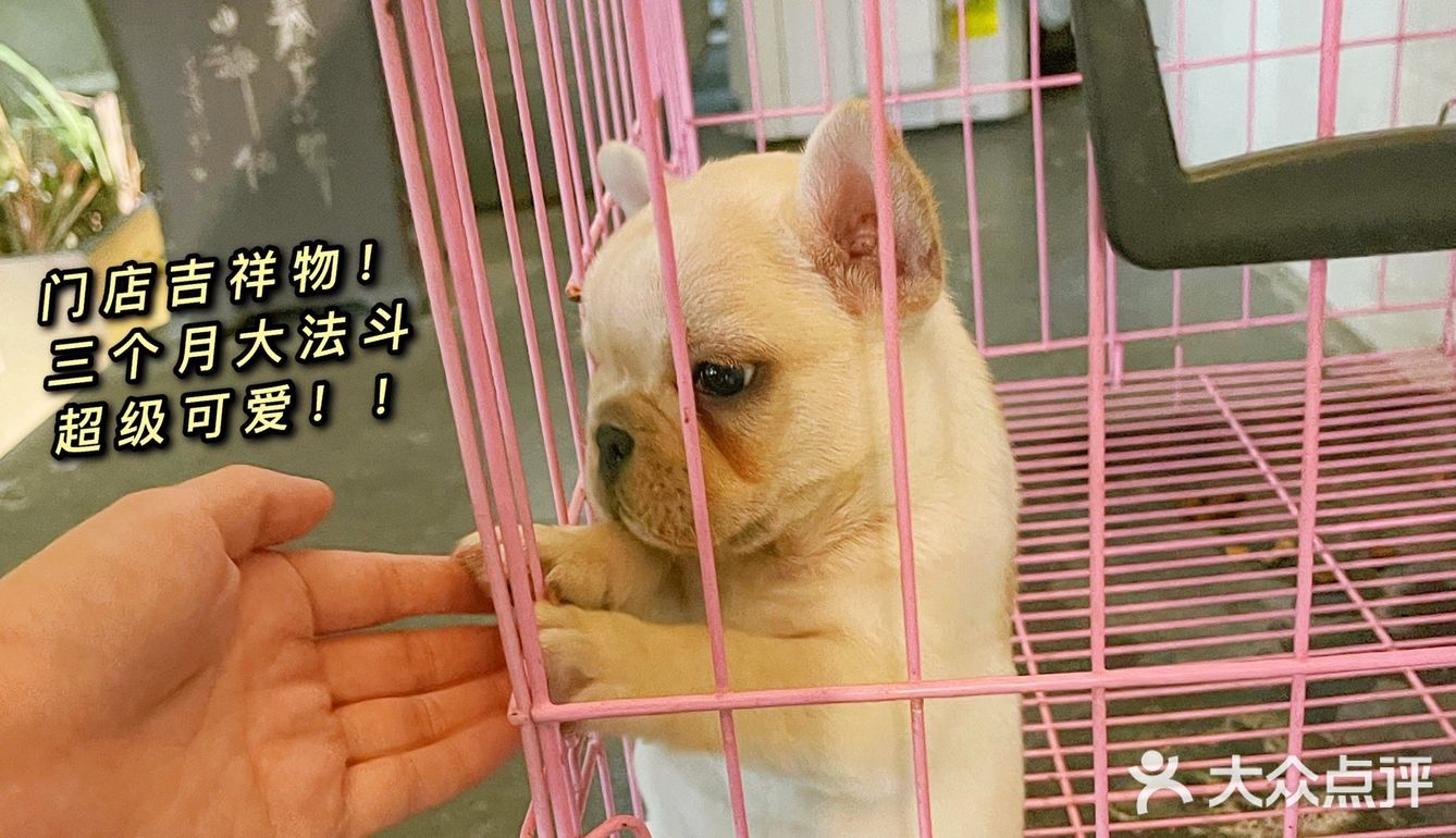 一个才5r!老板说很多人特意早晨跑过来买了当早餐