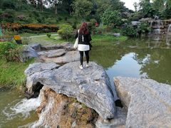 -东莞植物园
